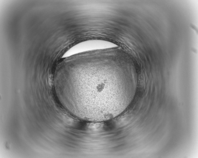 X0000093430135200711021042