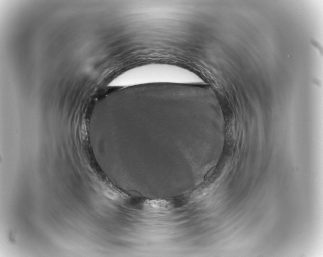 X0000093430137200711021042