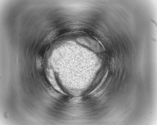 X0000093430138200711021042