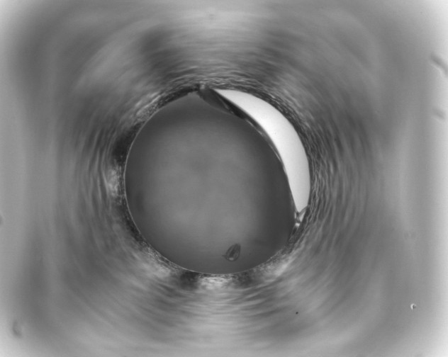 X0000093430139200711021042