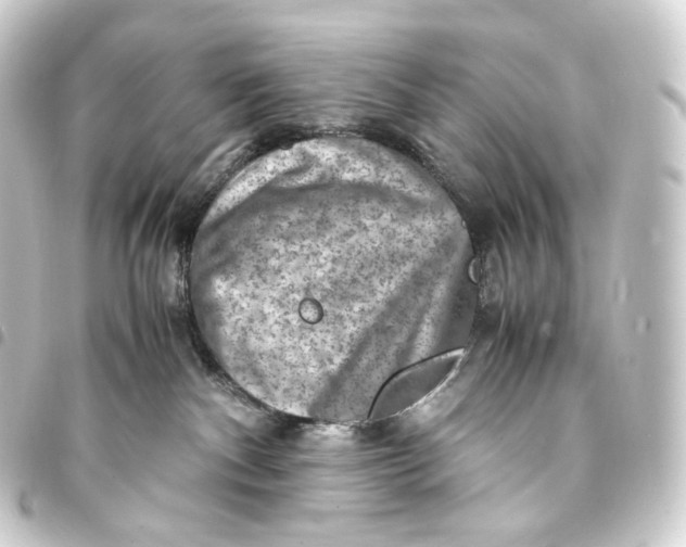 X0000093430140200711021042