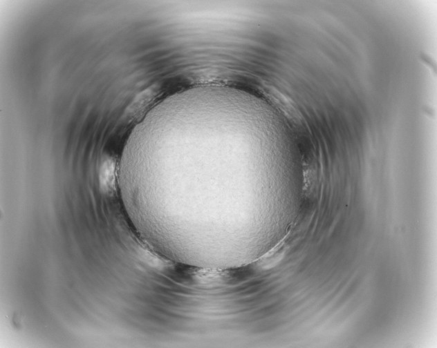 X0000093430142200711021042