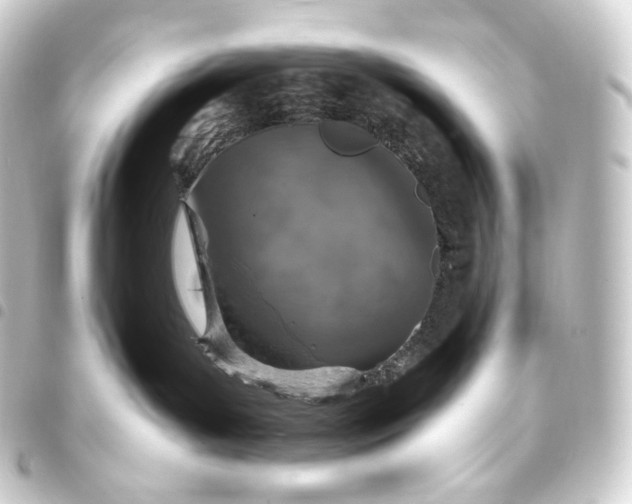 X0000093430143200711021042