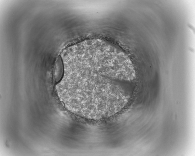 X0000093430144200711021042