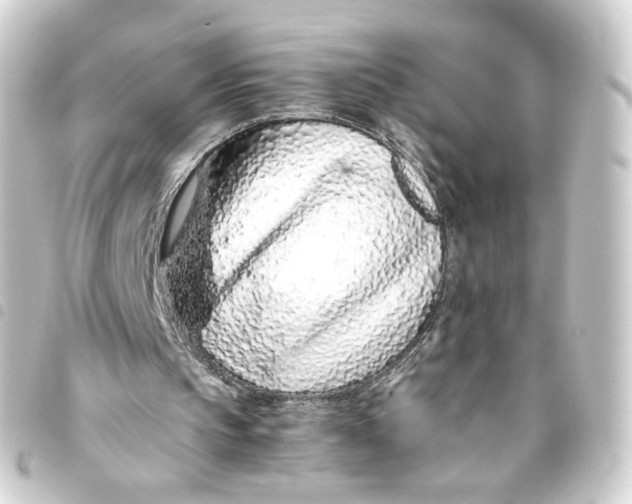 X0000093430145200711021041