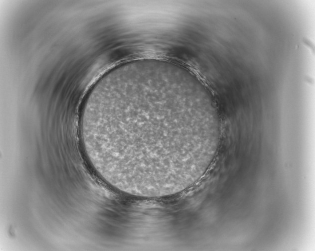 X0000093430146200711021041