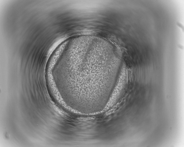 X0000093430147200711021041