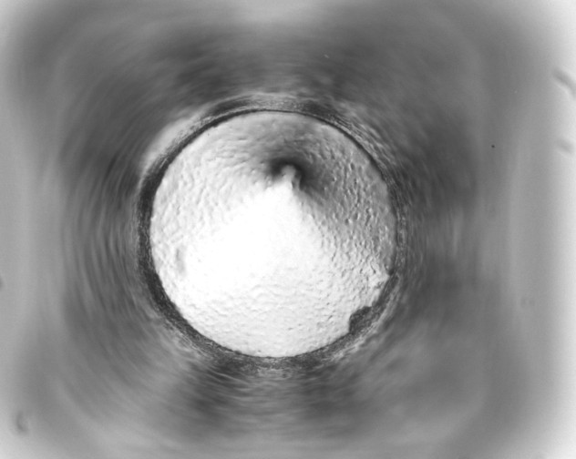 X0000093430149200711021041