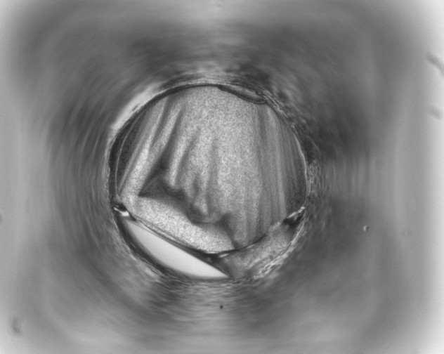 X0000093430150200711021041