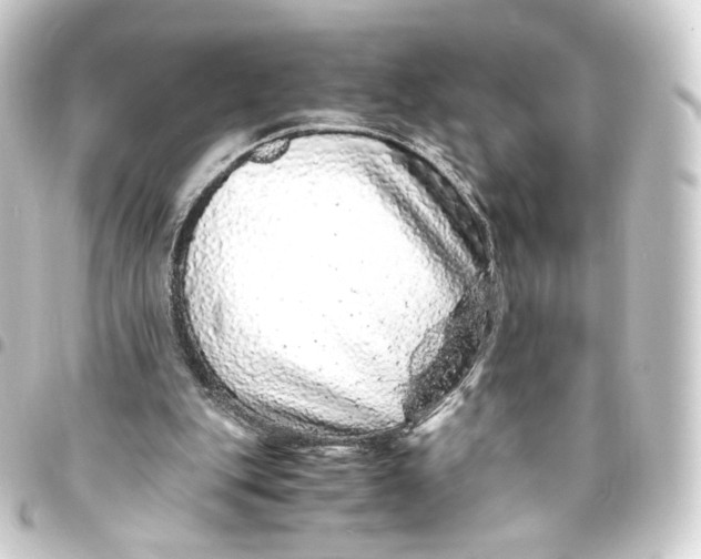 X0000093430151200711021041