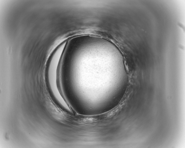 X0000093430152200711021041