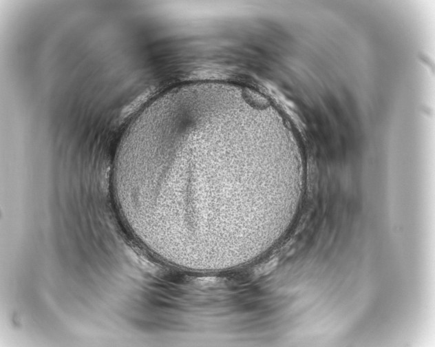 X0000093430153200711021041