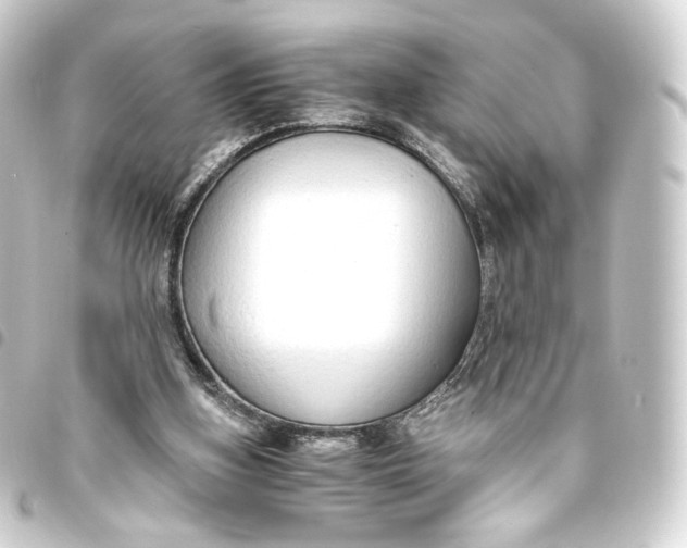 X0000093430155200711021041