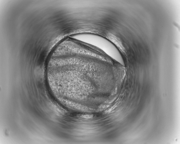 X0000093430156200711021041