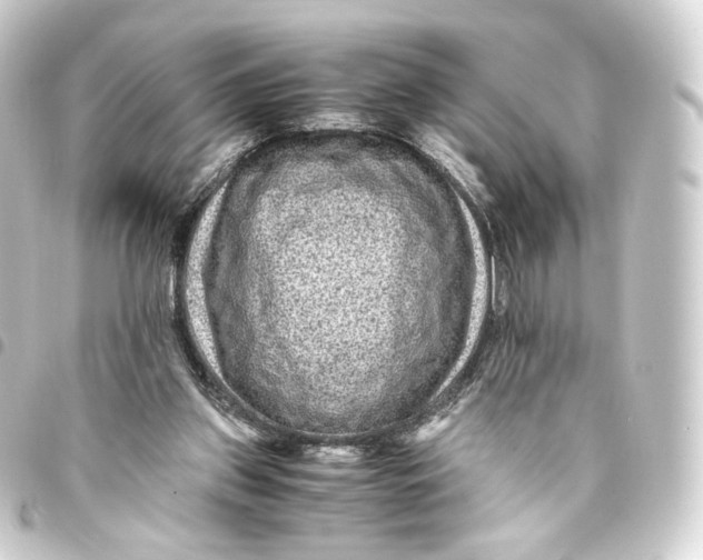 X0000093430157200711021041