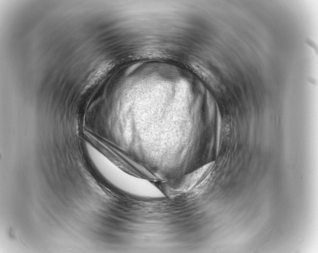 X0000093430158200711021041