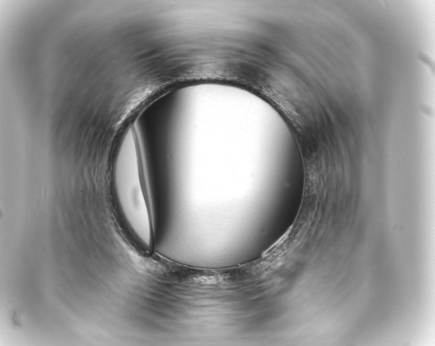 X0000093430160200711021041