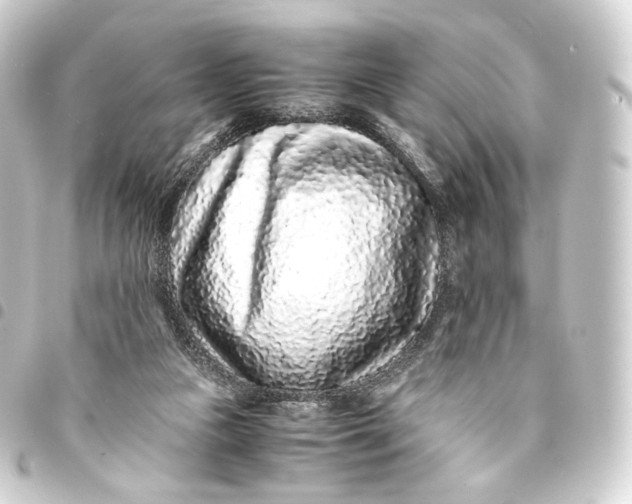 X0000093430161200711021041