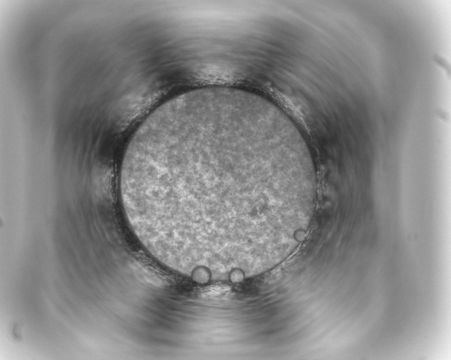 X0000093430162200711021041