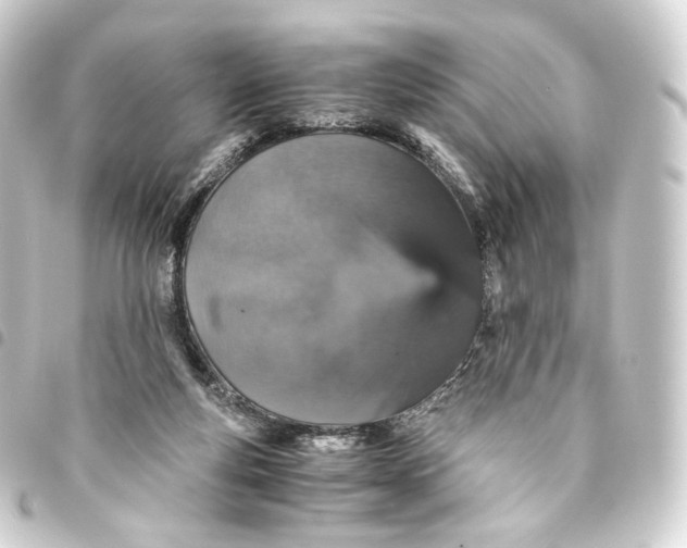 X0000093430163200711021041