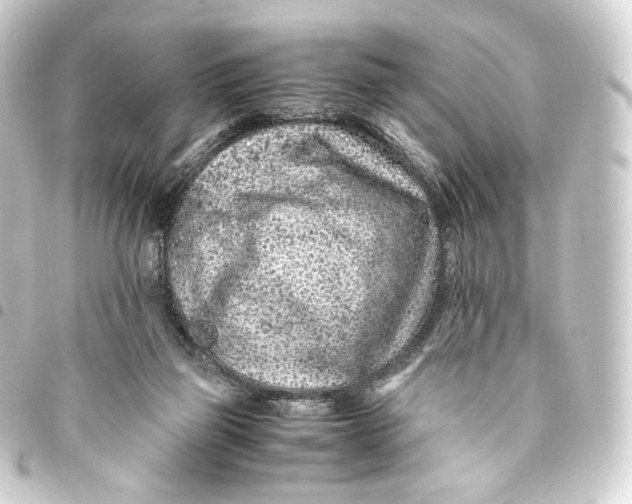 X0000093430165200711021041