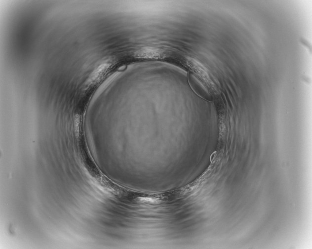 X0000093430167200711021042