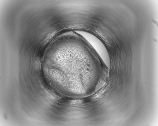 X0000093430168200711021042