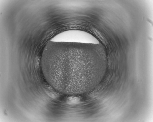 X0000093430169200711021042