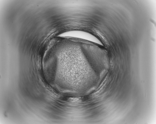 X0000093430170200711021042