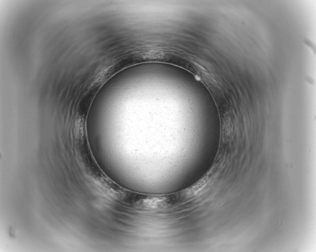 X0000093430172200711021042