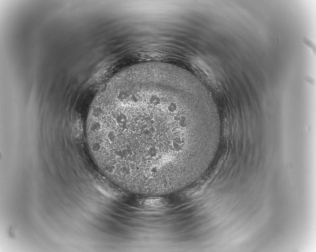 X0000093430173200711021042