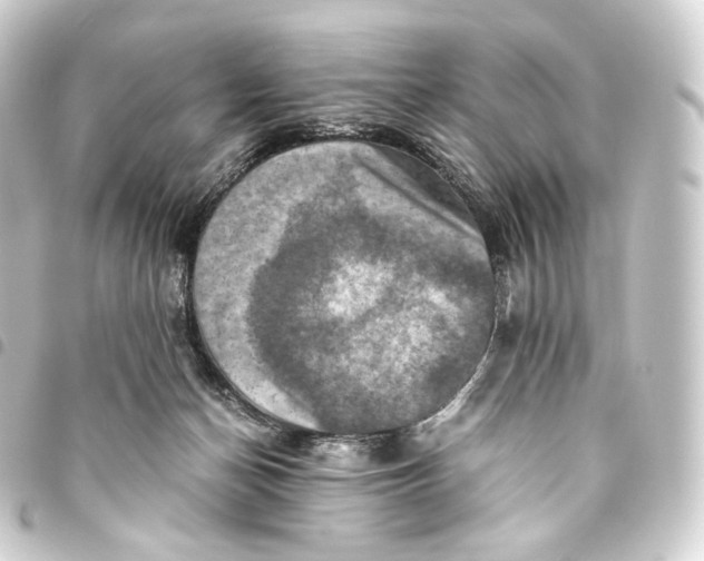 X0000093430174200711021042