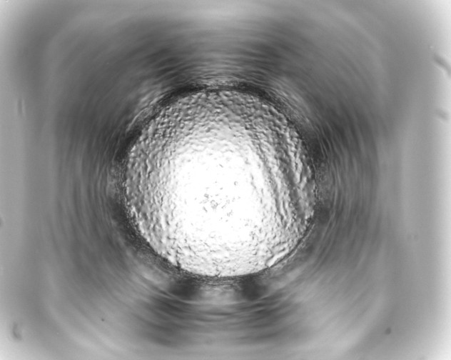 X0000093430175200711021042