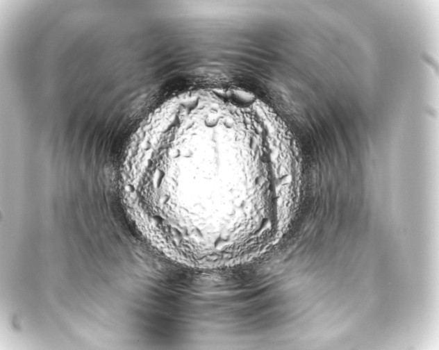 X0000093430177200711021042