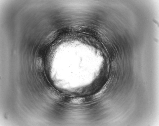 X0000093430178200711021042