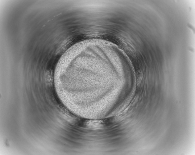 X0000093430179200711021042