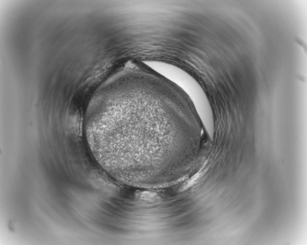 X0000093430180200711021042