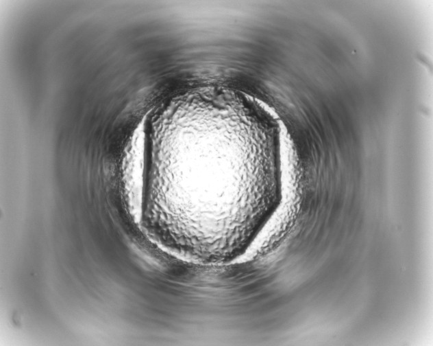 X0000093430182200711021042