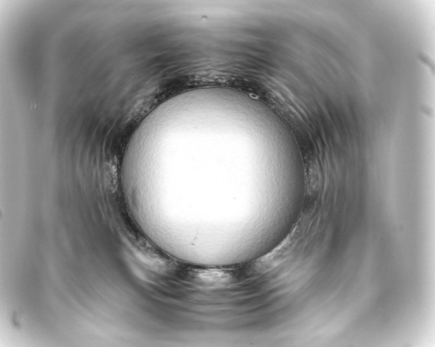 X0000093430183200711021042