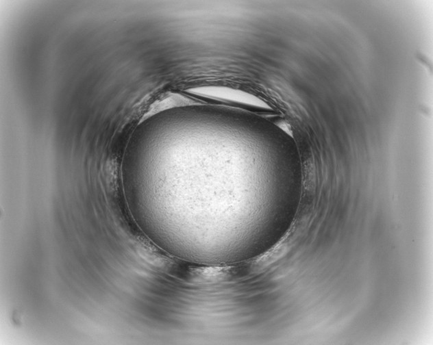 X0000093430184200711021042