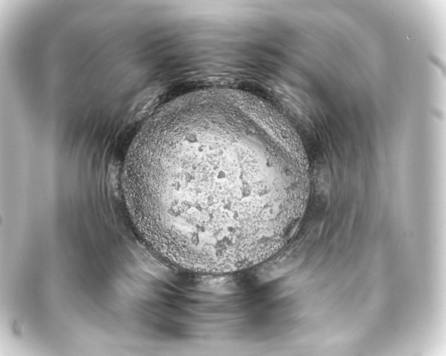 X0000093430185200711021042