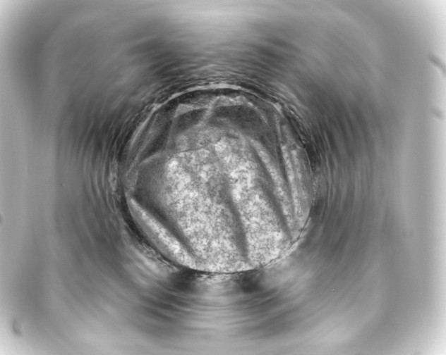 X0000093430186200711021042