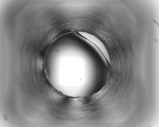 X0000093430188200711021042