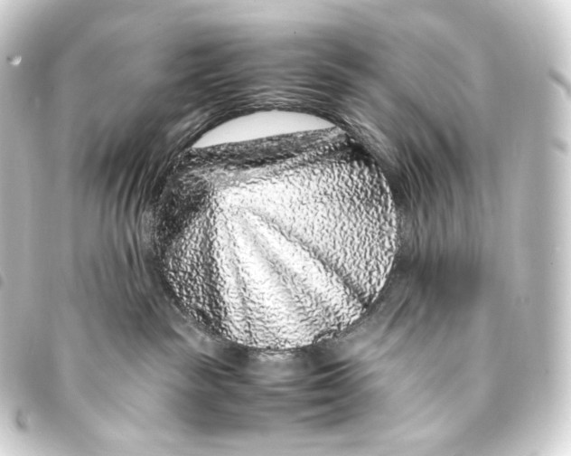 X0000093430189200711021042