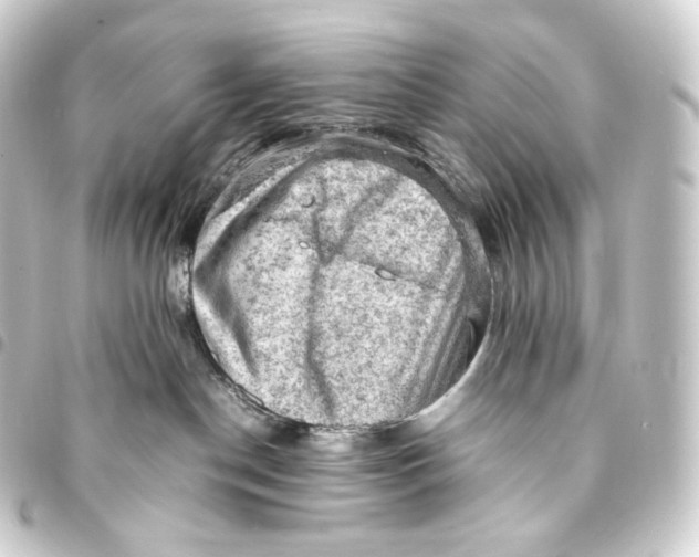 X0000093430190200711021042