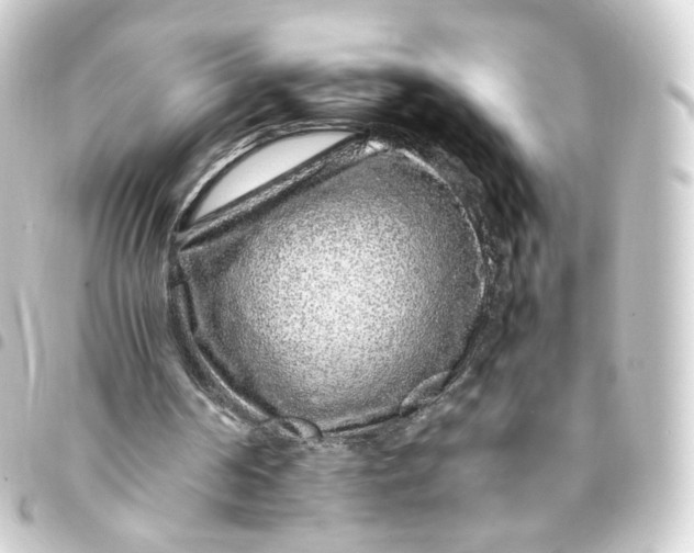 X0000093430194200711021041