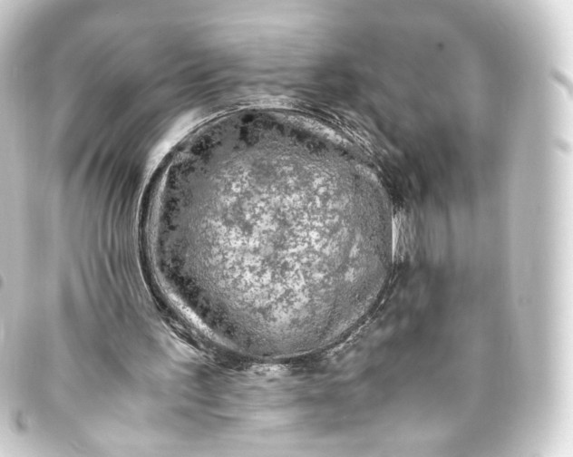 X0000093430195200711021041