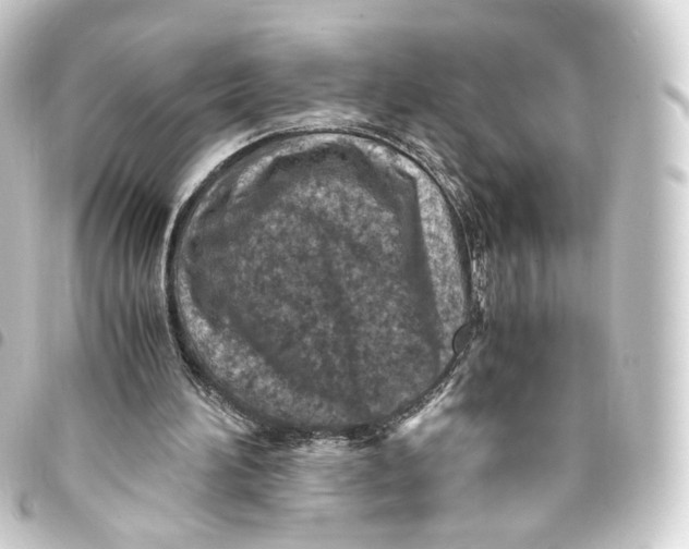 X0000093430196200711021041