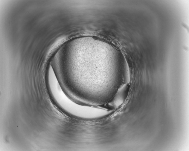 X0000093430197200711021041