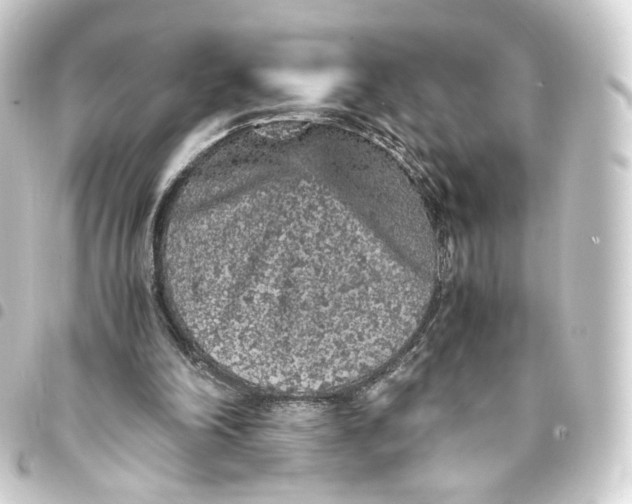 X0000093430198200711021041